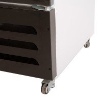 Armario Expositor Refrigerado 330L Ventilado Romux | Equipamiento Industrial