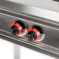 Cocina Industrial 2 Fuegos Gas 90x55cm Romux | Equipamiento Industrial