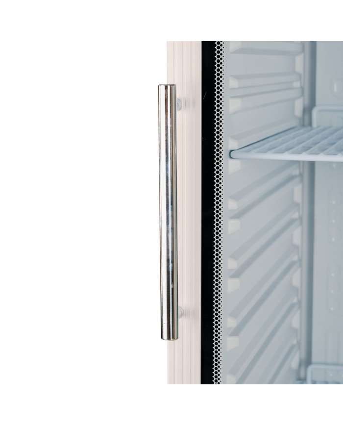 Armario Expositor Congelación 600L 1 Puerta | Gastroten