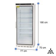 Armario Expositor Congelación 600L 1 Puerta | Gastroten