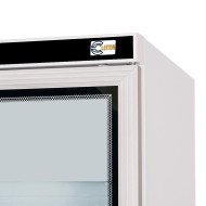 Armario Expositor Congelación 600L 1 Puerta | Gastroten