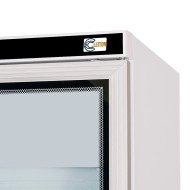 Armario Expositor Congelación 400L 1 Puerta Cristal | Gastroten