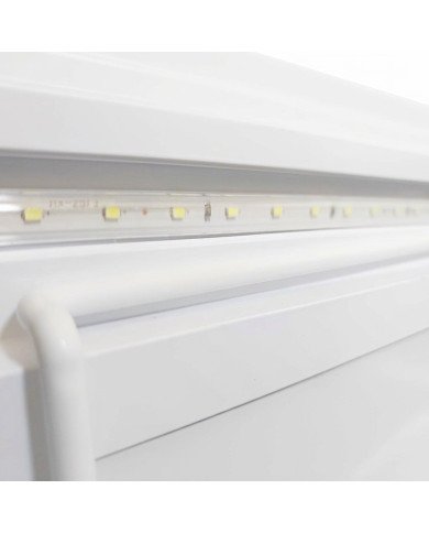 Isla de Congelación 300 Litros con 2 Puertas Correderas Cristal Curvo Blanca | Equipamiento Hostelería