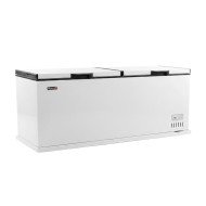 Arcon Congelador Horizontal De 600 Litros Con 2 Puertas Ciega Abatible
