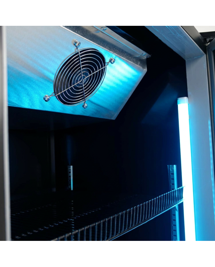 Armario Expositor De Congelación Modelo D Luz Led - 500 Litros 1 Puert