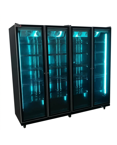 Armario Expositor de Congelación 2200L Ventilado Romux | Equipamiento Industrial