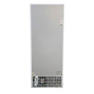 Armario Expositor Congelación 600L 1 Puerta | Gastroten