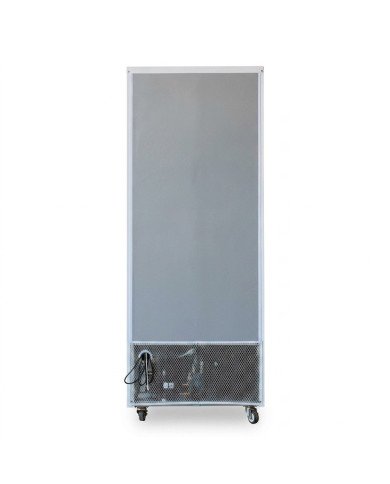 Armario Expositor Refrigerado Modelo D Luz Led - 600 Litros 1 Puerta D