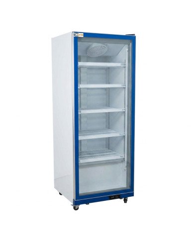Armario Expositor Refrigerado Modelo D Luz Led - 600 Litros 1 Puerta D