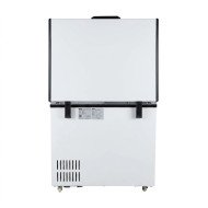 Arcon Congelador Horizontal De 300 Litros Con 1 Puerta Ciega Abatible