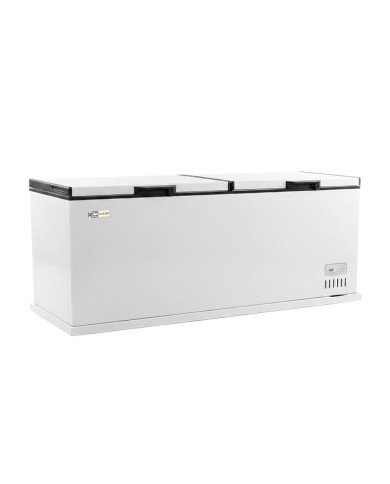 Arcon Congelador Horizontal De 600 Litros Con 2 Puertas Ciega Abatible