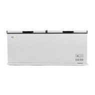 Arcon Congelador Horizontal De 600 Litros Con 2 Puertas Ciega Abatible