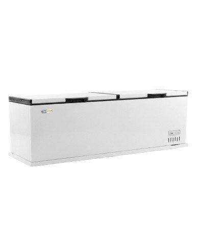 Arcon Congelador Horizontal De 1050 Litros Con 2 Puertas Ciega Abatibl