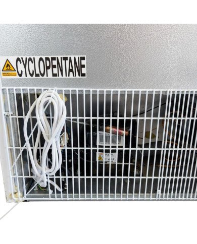Armario De Congelación Abs 600 Litros 1 Puerta 77 Blanco Cleiton CLEI