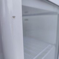88. Vitrina Pastelera Expositora Refrigerada Vertical de Suelo 4 Estantes con 1 Puerta Blanca 230 Litros Ventilada (FR-138)