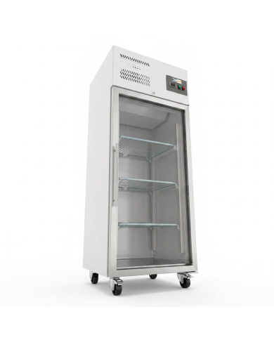 Armario refrigerado 650L 1 puerta cristal CLEITON ventilado aire forzado