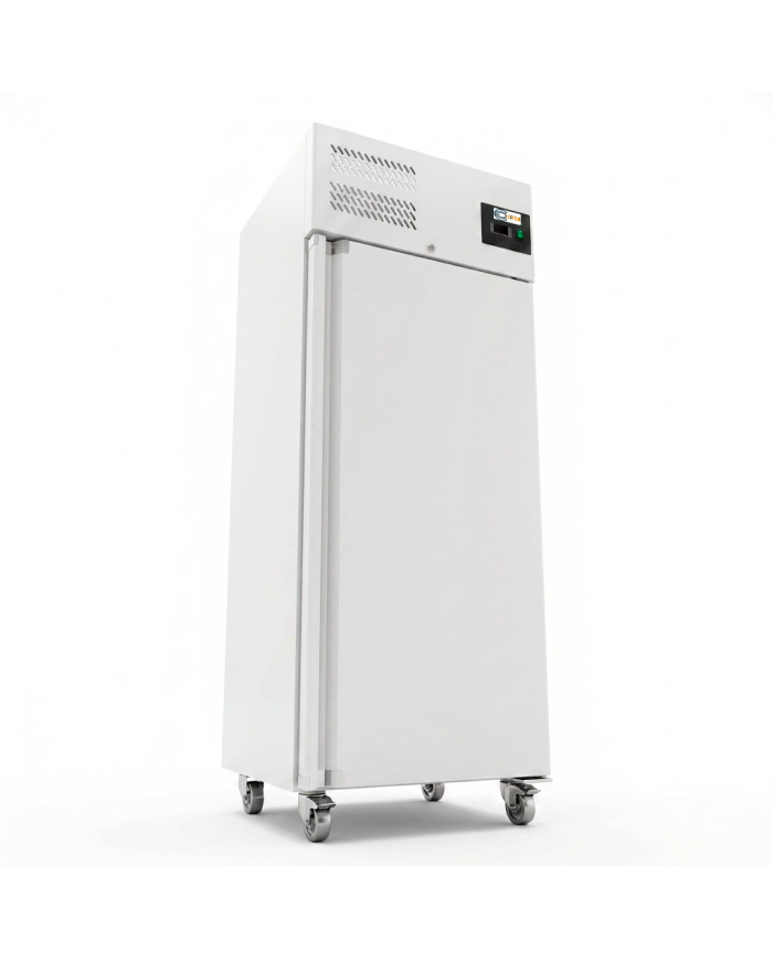 Armario congelador 650L 1 puerta CLEITON ventilado aire forzado