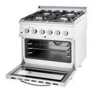 Cocina 4 Fuegos Gas Butano Horno Eléctrico | Gastroten